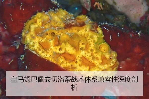 huang-ma-mu-ba-pei-an-qie-luo-di-zhan-shu-ti-xi-jian-rong-xing-shen-du-pou-xi-3-179.jpg