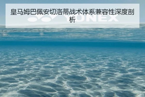 皇马姆巴佩安切洛蒂战术体系兼容性深度剖析