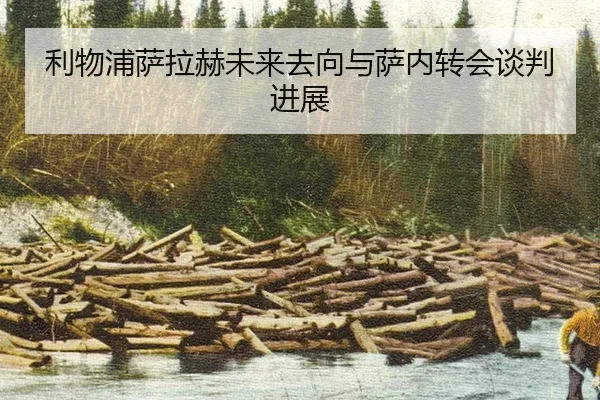 li-wu-pu-sa-la-he-wei-lai-qu-xiang-yu-sa-nei-zhuan-hui-tan-pan-jin-zhan-2-644.jpg