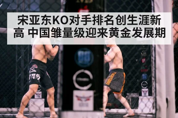 MMA cage fight